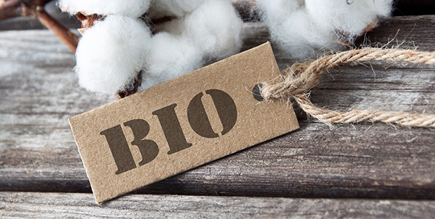 Nachhaltigkeit Ökologisch Umweltfreundlich