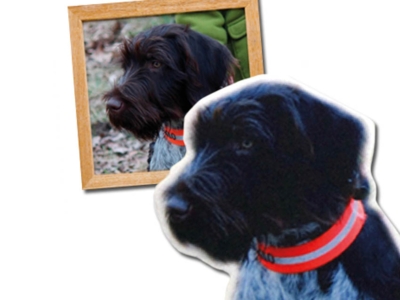Fotorealistische Aufnäher Patches Badges Abzeichen Foto