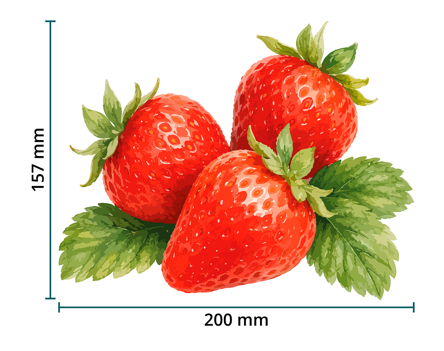 DTF / Textildruck / Bügelbild, Erdbeeren - Größentabelle / Sizechart